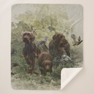 De Pudelpointer Sherpa Deken