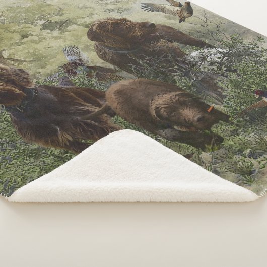 De Pudelpointer Sherpa Deken (3/4)