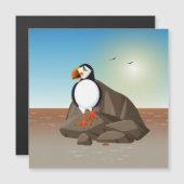 De Puffin aan de kust (Voorkant / Achterkant)