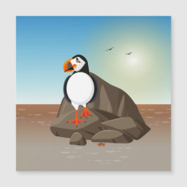 De Puffin aan de kust