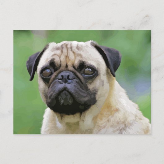 De Pug Dog Briefkaart (Voorkant)