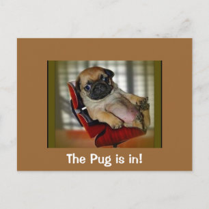 De Pug is binnen. Briefkaart