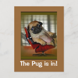 De Pug is binnen. Briefkaart