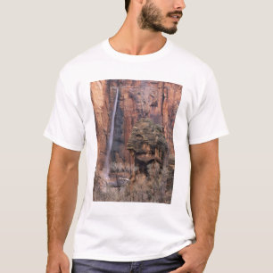 De pulpit en de vluchtige waterval t-shirt