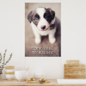 De puppy van de collie van de grens met blauwe oge poster (Keuken)