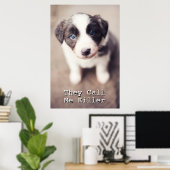 De puppy van de collie van de grens met blauwe oge poster (Thuiskantoor)
