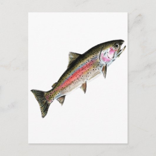 DE PURE BRIEFKAART (Voorkant)