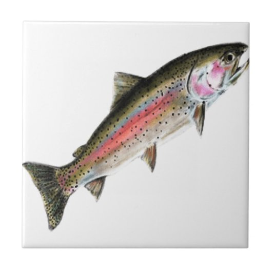 DE PURE TEGELTJE (Voorkant)