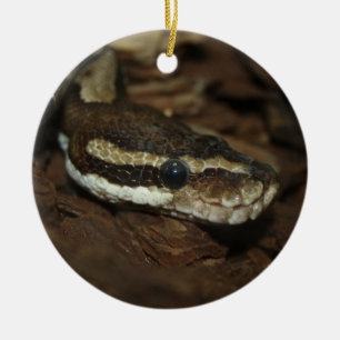 De python van het tapijt keramisch ornament