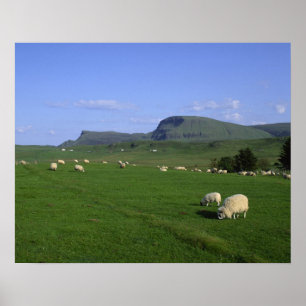 De Quiraing-bergen, Isle of Skye, Hooglanden, Poster