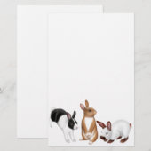 De Rabbits Stationery Briefpapier (Voorkant / Achterkant)