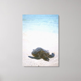 De rand van het water canvas afdruk