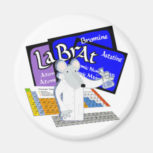 De Rat van het laboratorium met Elementen van Magneet