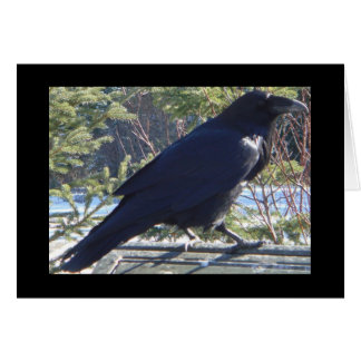 de Raven
