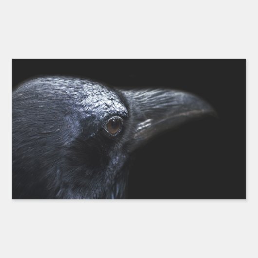 De Raven Rechthoekige Sticker (Voorkant)