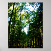 De rechte en pijl poster (Voorkant)