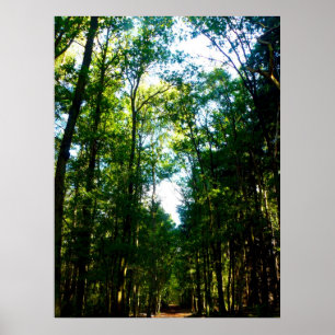 De rechte en pijl poster