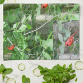 DE RED CARDINAL handdoek (Gevouwen)