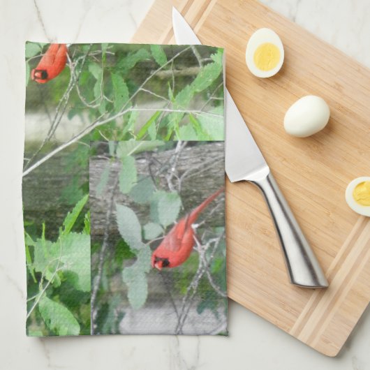 DE RED CARDINAL handdoek (Quarter Fold)