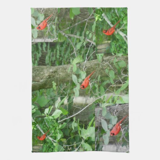 DE RED CARDINAL handdoek (Verticaal)