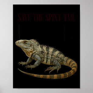 De Red de Stekelige Staart Leguaan Reptiel Poster