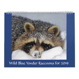 De Redding & de Versie van de wasbeer in Wild Blue Kalender