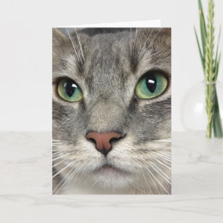 De Redding van de Kat van Greyfoot - Die Ogen - Kaart