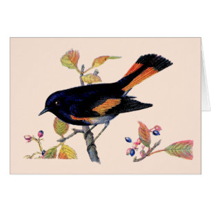 De Redstart Bird Bedankt Card