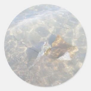 De Reeks van de Pijlstaartrog OBX van Cownose Ronde Sticker