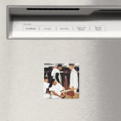 De referentie magneet (Insitu (Vaatwasser))