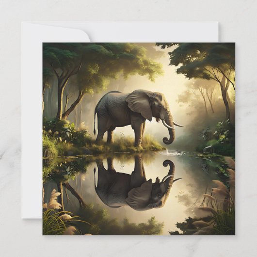 De reflectie van een olifant (Voorkant)