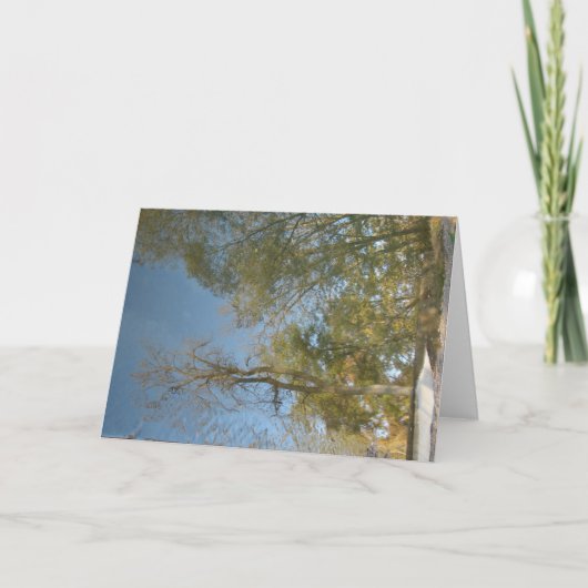 De Reflecties van de boom bij de Mill Kaart (Voorkant)