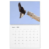 De Regal Bald Eagle Kalender (Mar 2026)