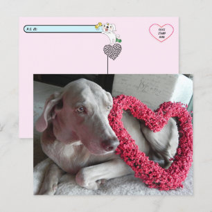 De regen in het Wiemaraner's Love Briefkaart