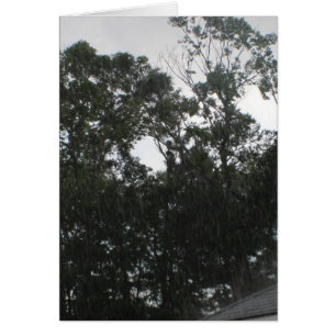 De Regen van de regen gaat weg