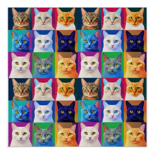 De regenboog van katten perfect poster (Voorkant)