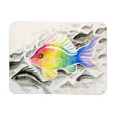 De regenboogvis puzzel magneet (Horizontaal)