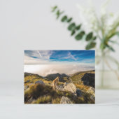 De reis briefkaart (Staand voorkant)