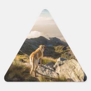 De reis driehoek sticker