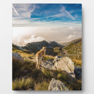 De reis fotoplaat