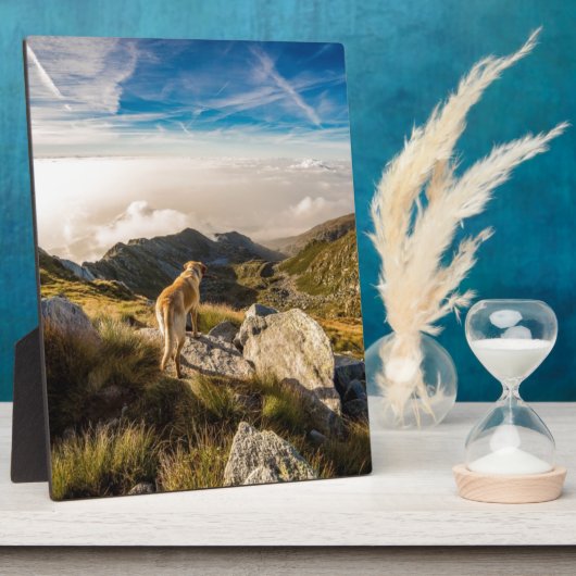 De reis fotoplaat (Zijkant)