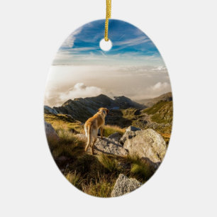 De reis keramisch ornament