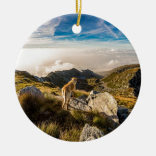 De reis keramisch ornament