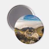 De reis magneet (Voorkant / Achterkant)