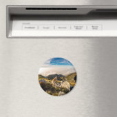 De reis magneet (Insitu (Vaatwasser))