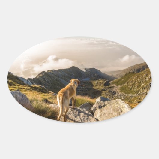 De reis ovale sticker (Voorkant)