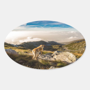 De reis ovale sticker