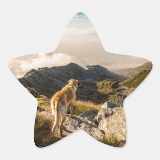 De reis ster sticker (Voorkant)