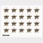 De reis ster sticker (Vel)