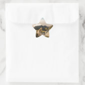 De reis ster sticker (Tas)